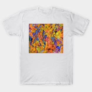 Landslip T-Shirt